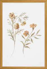Floral Study