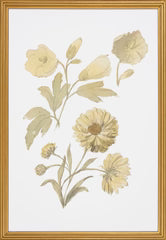 Floral Study