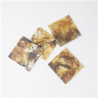 SET OF 4 TORTOISESHELL COASTERS