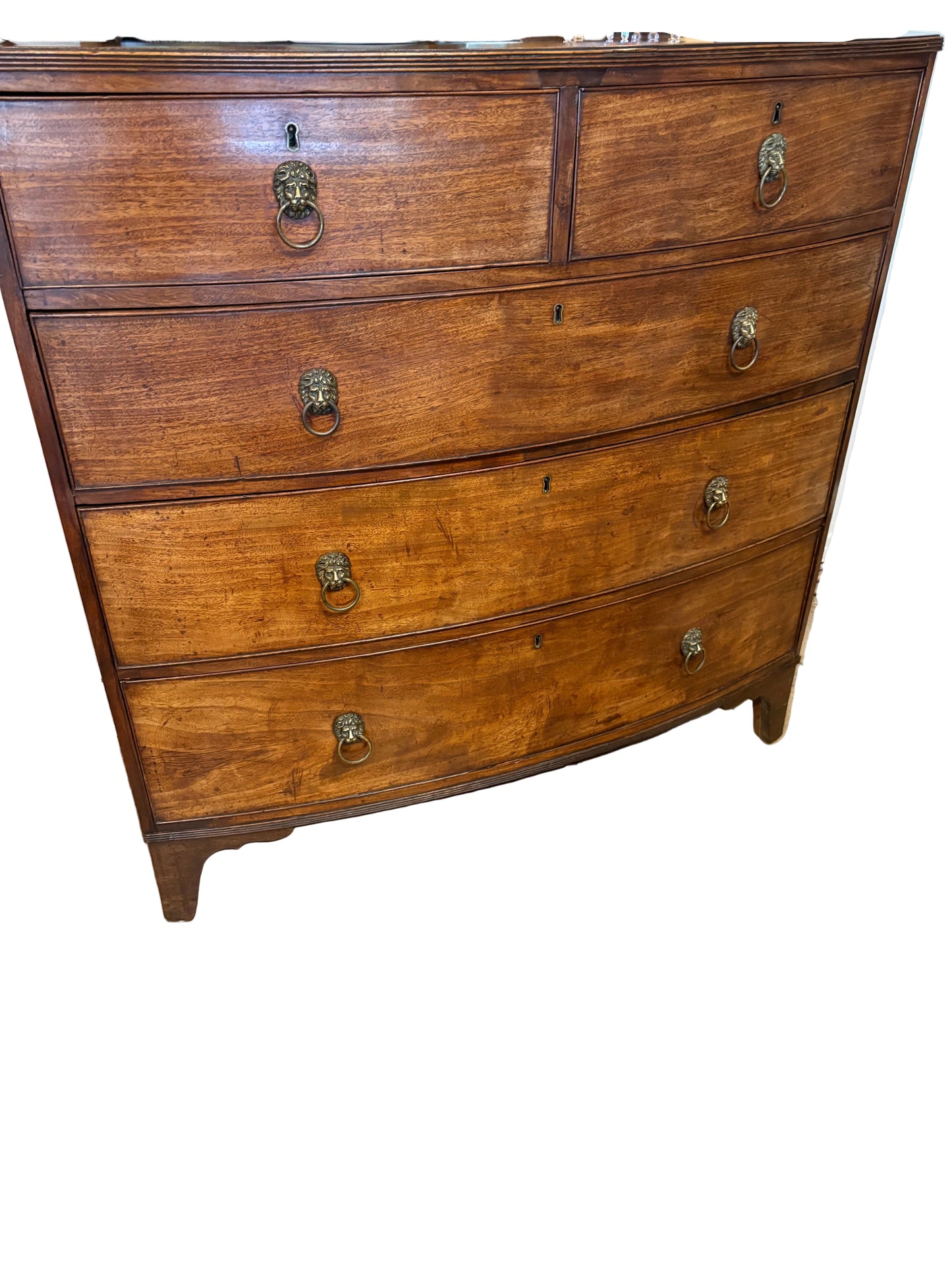 Bow Chest with Lion Pulls