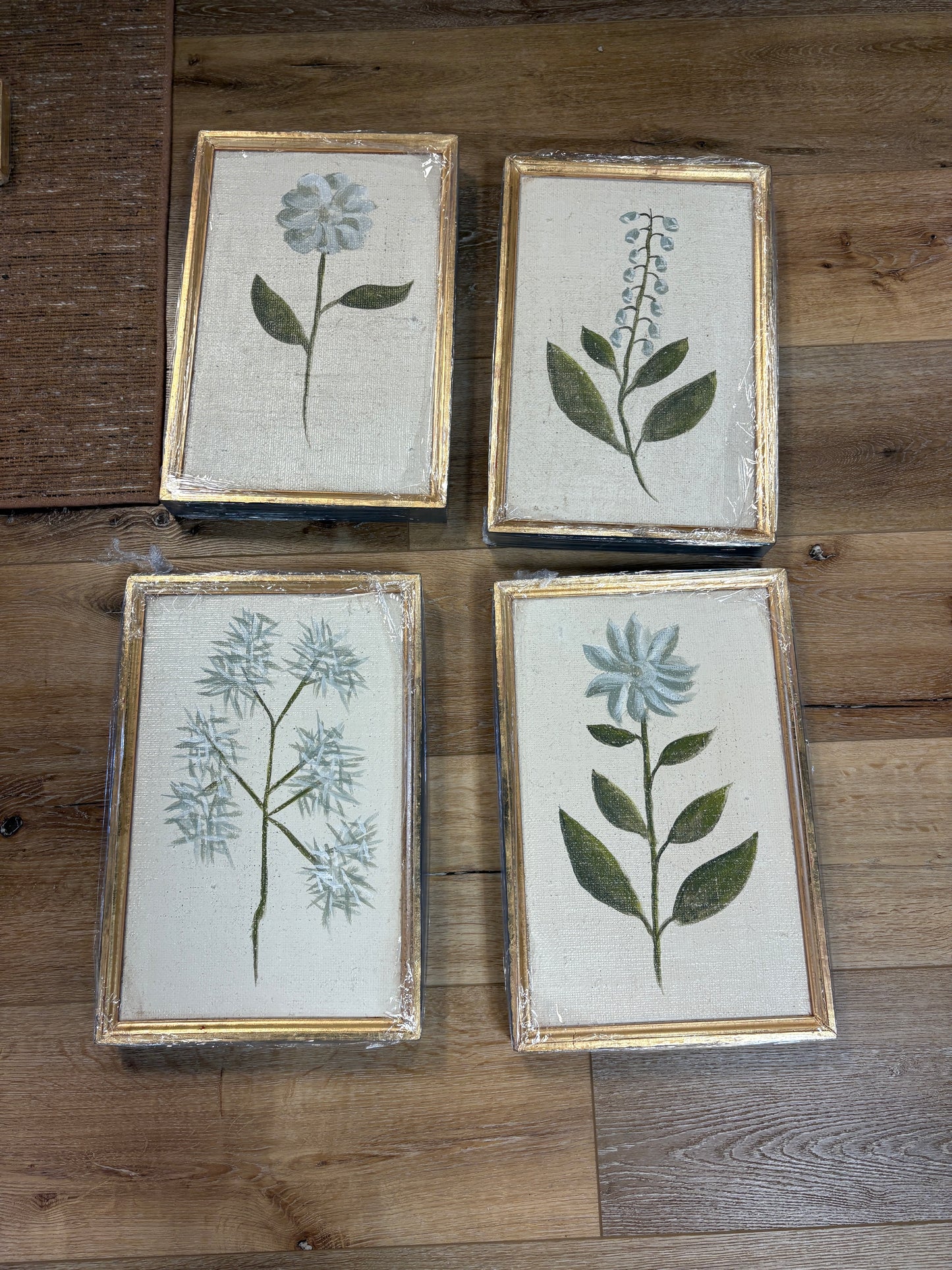 Botanicals 12x18