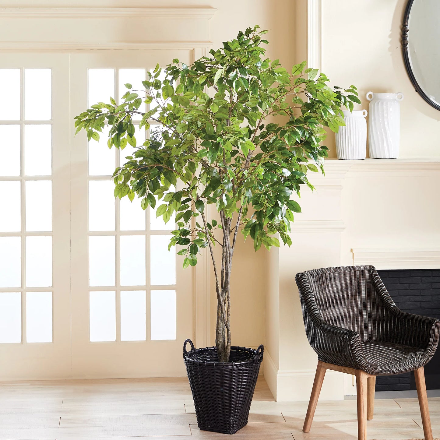 Grand Ficus Tree Drop-In 8'