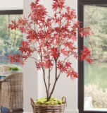 Red Maple Tree Drop-In 85"