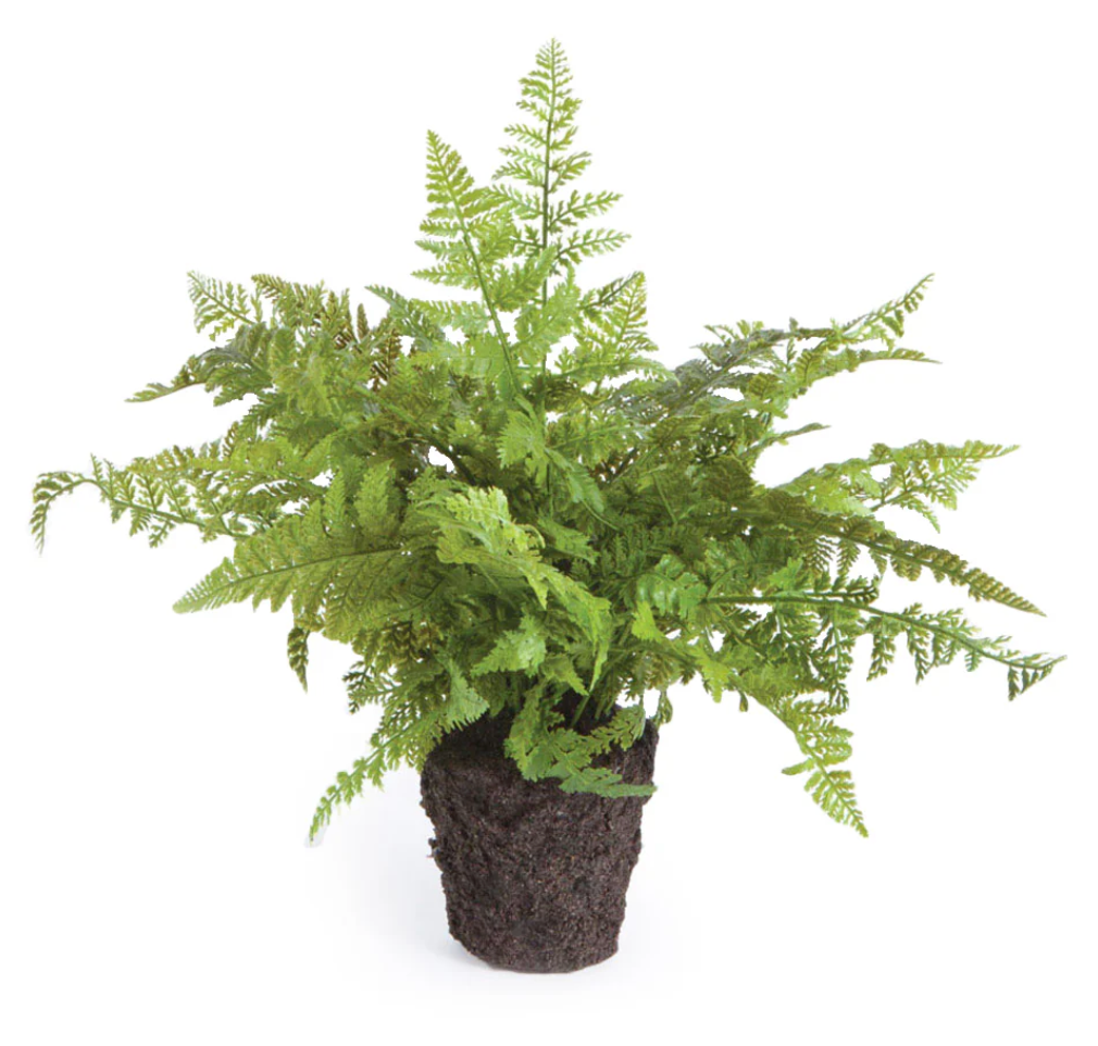 10.5" Soft Fern Drop-In