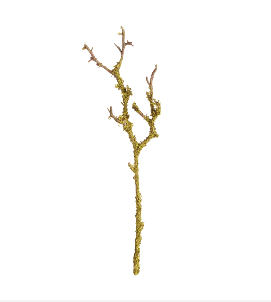 Lichen Branches 17"