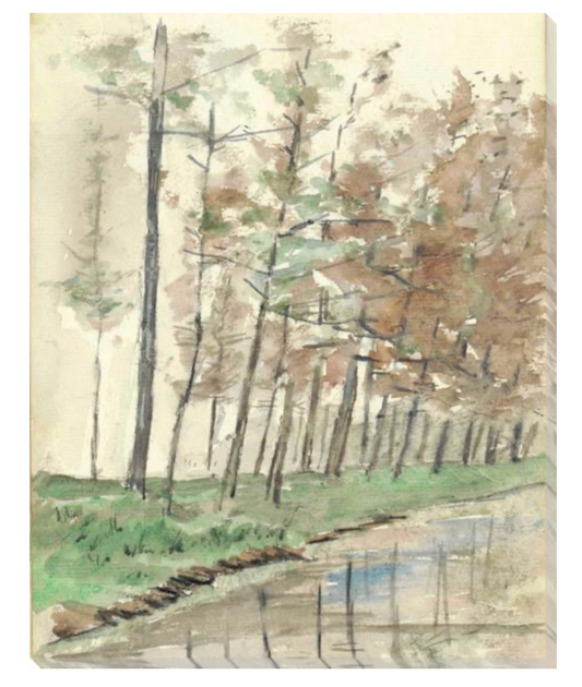 Dutch Landscape