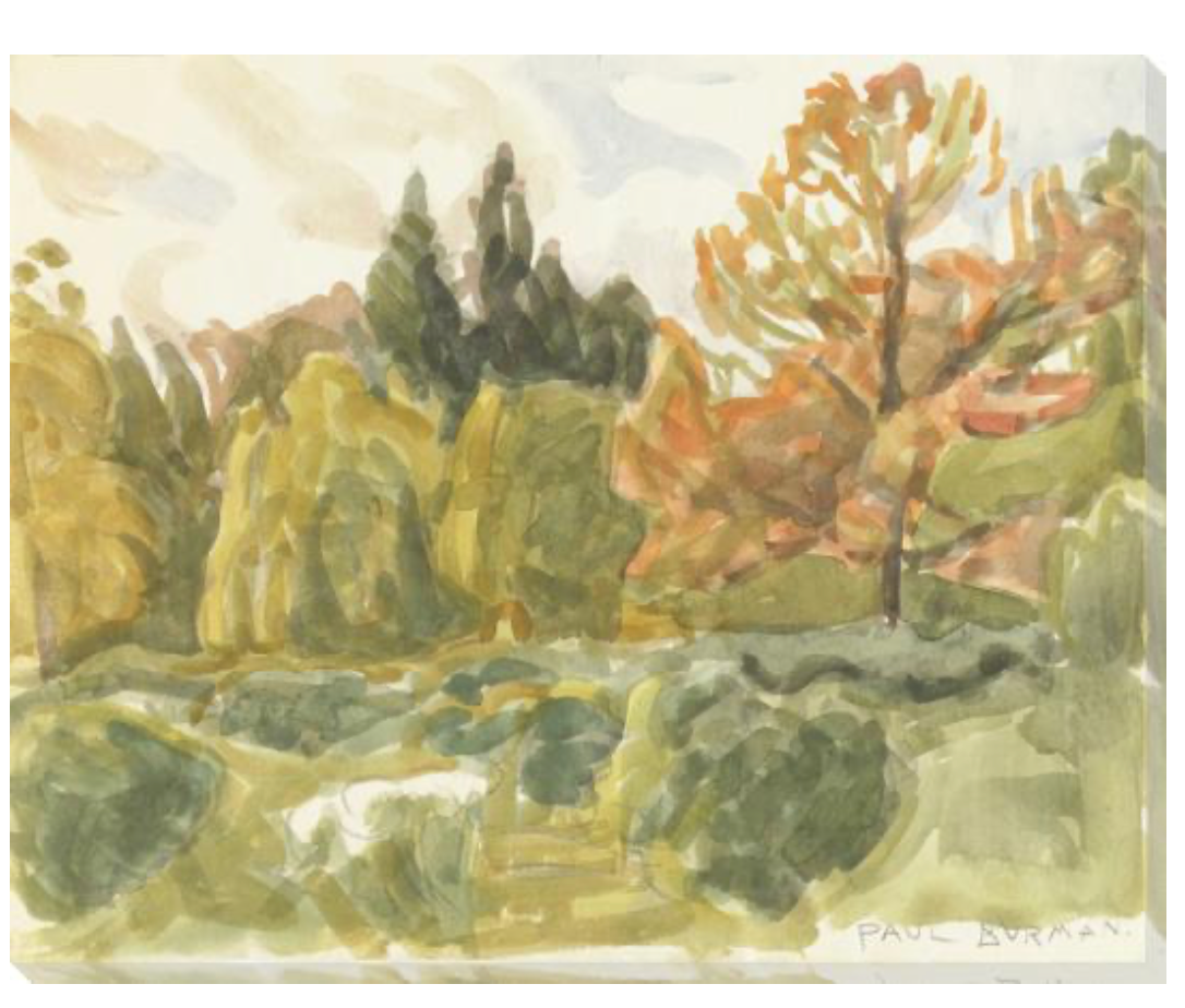 Landscape Sketch