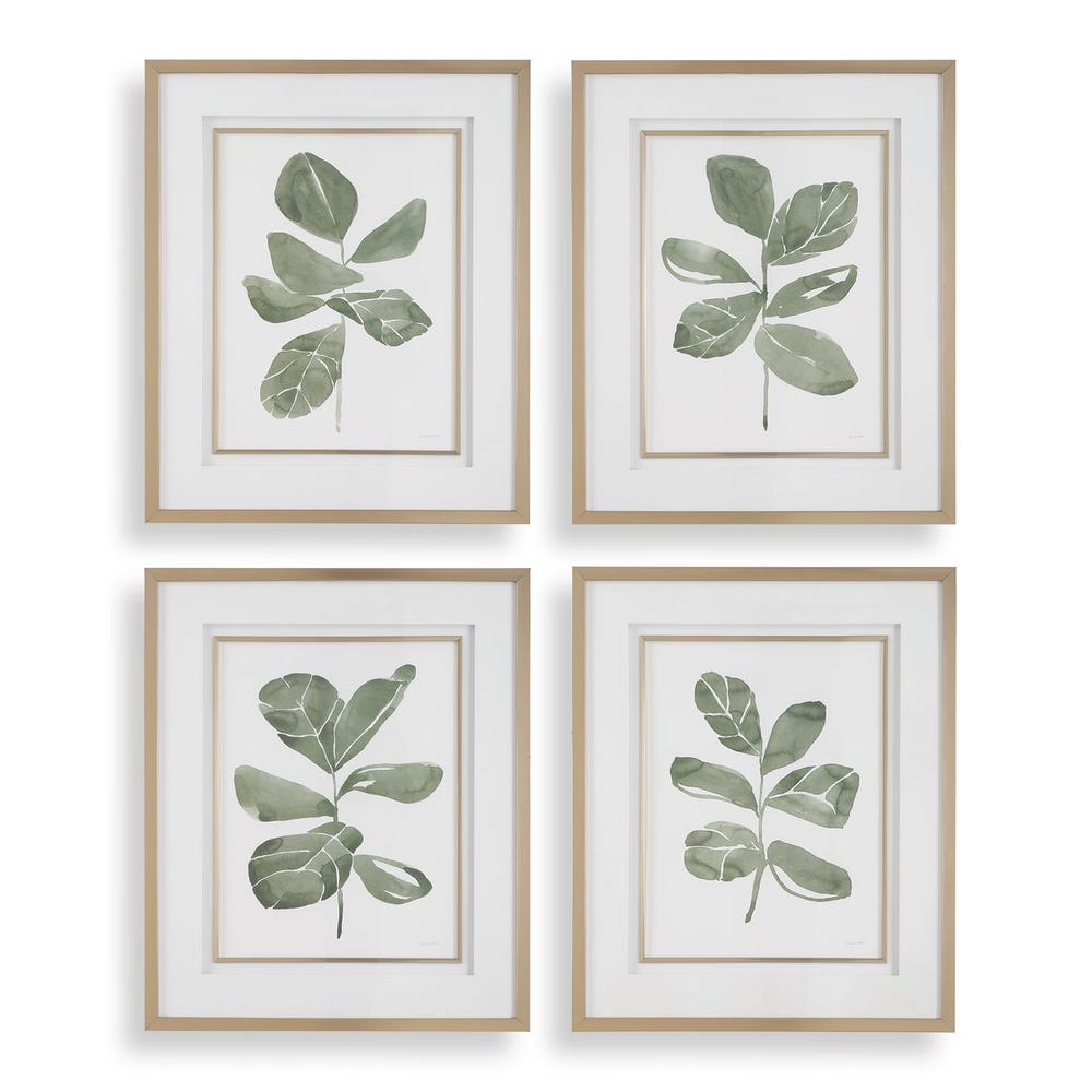 Fiddle Head Leaf Framed Print