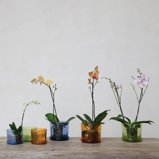 Recycled Glass Planters w Saucer