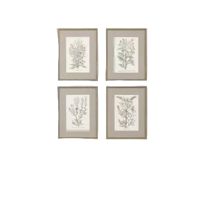 Botanical Plants