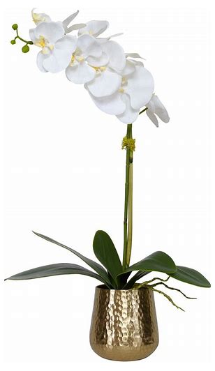 Cami Orchid Brass