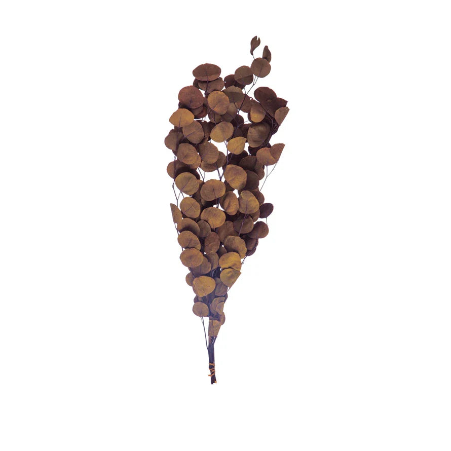 Botanicals
