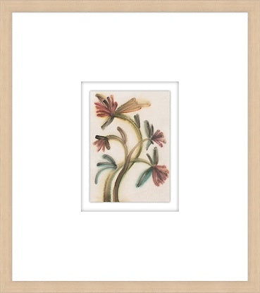 Fanciful Floriculture