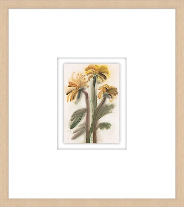 Fanciful Floriculture