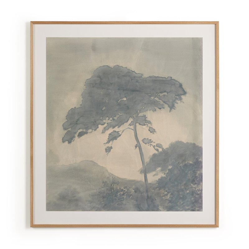 Canopy By Chelsea Fly