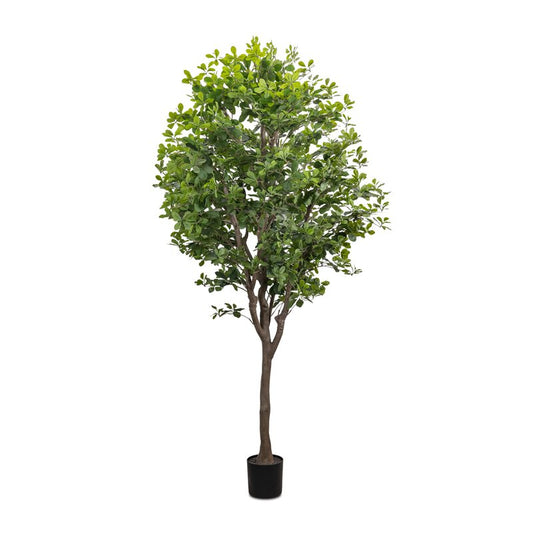 8 Ft. Faux Aralia Tree