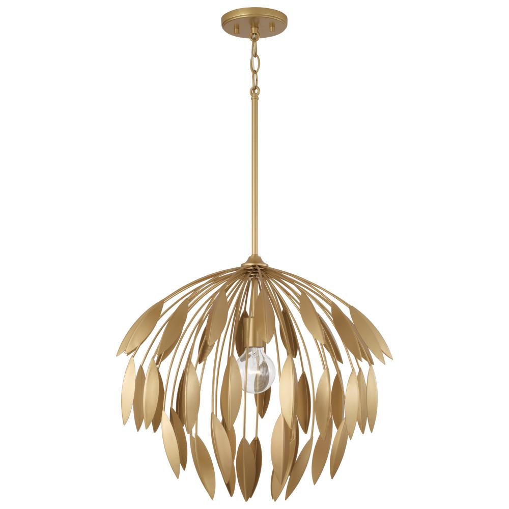 1 Light Pendant