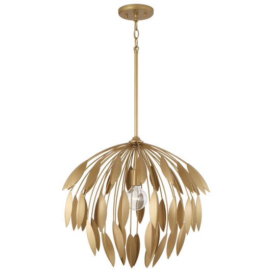 1 Light Pendant