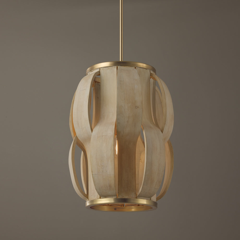 1 Light Pendant