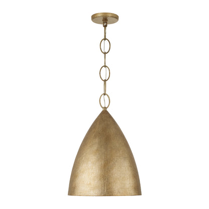 1 Light Pendant