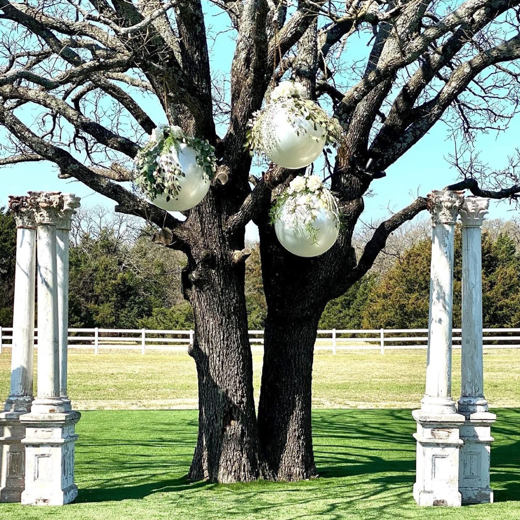 Display Set - Metallic - Large