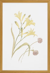 Floral Study