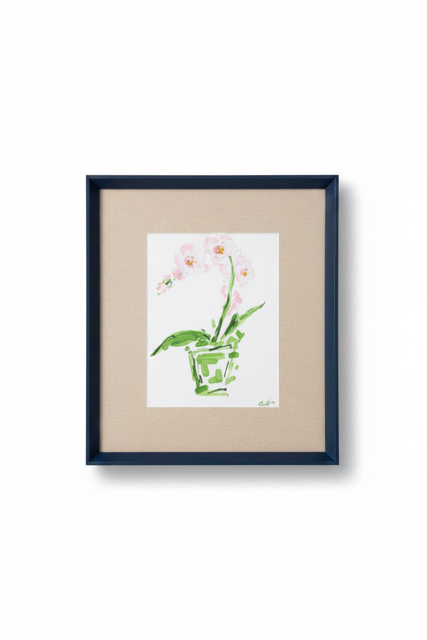 Orchid