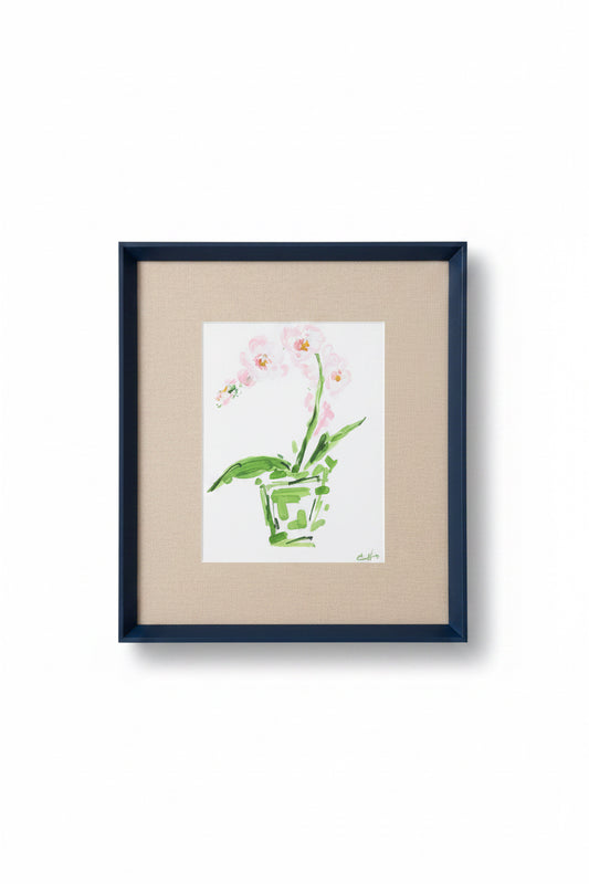 Orchid