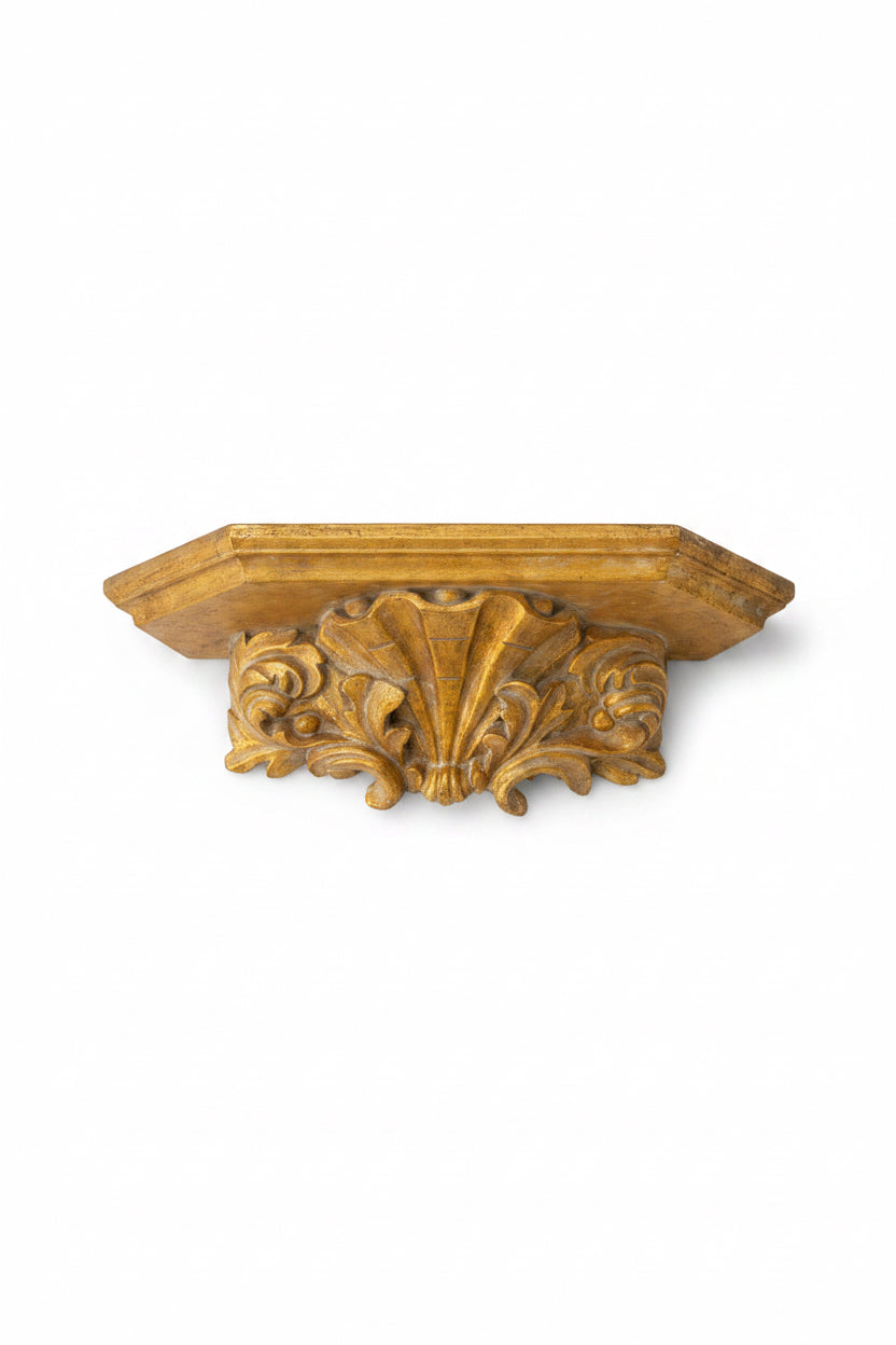 Coquille Bracket