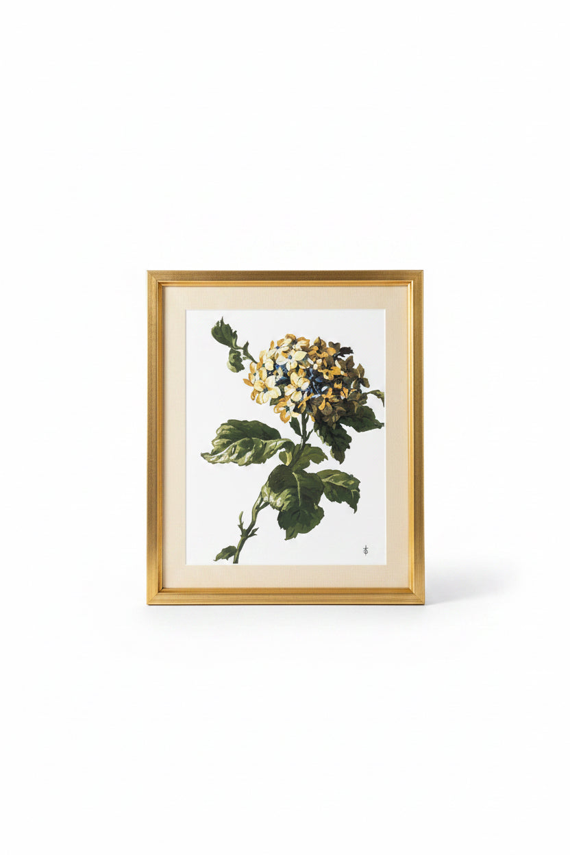 Golden Bloom
