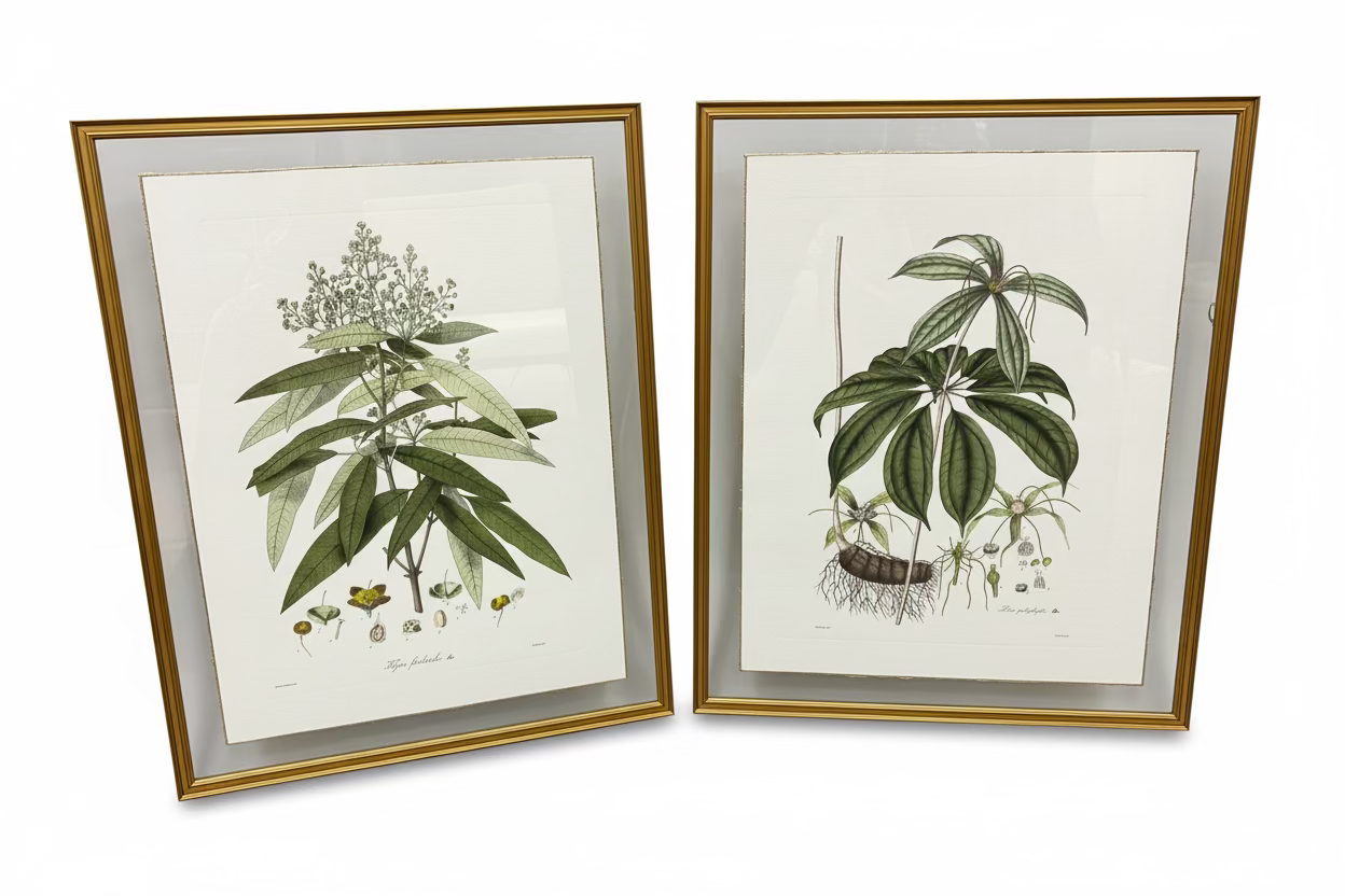 Folio Foliage w/ Custom Gold Leaf Edge