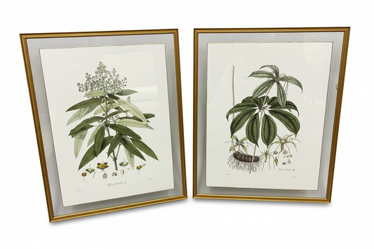 Folio Foliage w/ Custom Gold Leaf Edge
