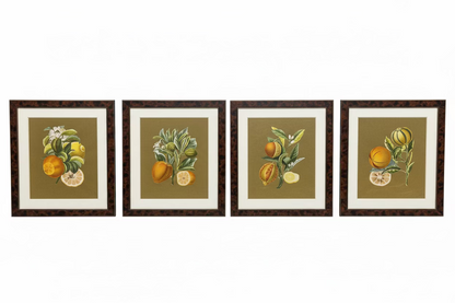 Citrus Fruit with Custom Gold Leaf Background