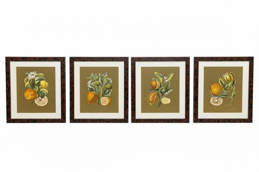 Citrus Fruit with Custom Gold Leaf Background