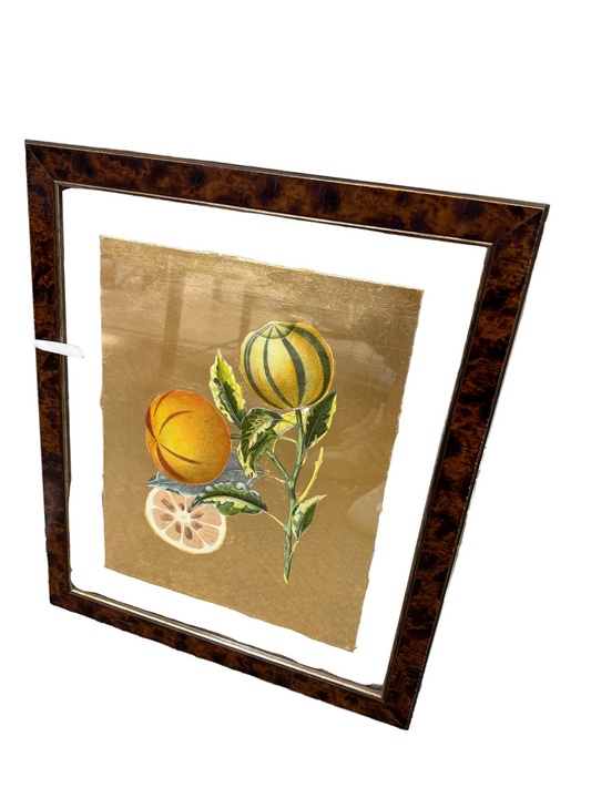 Citrus Fruit with Custom Gold Leaf Background