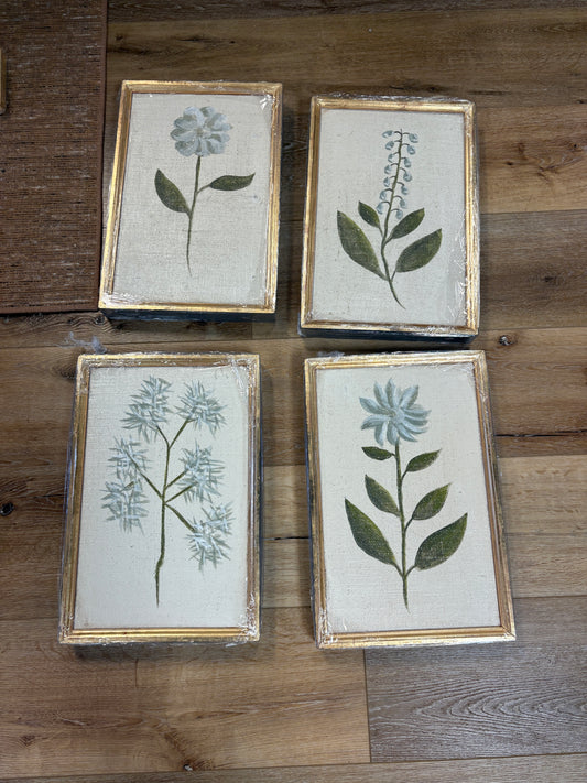 Botanicals 12x18
