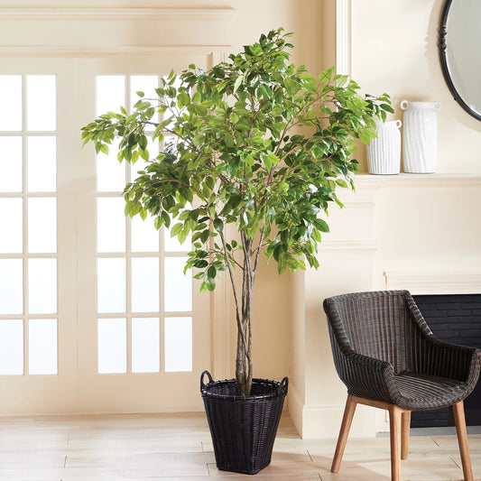 Grand Ficus Tree Drop-In 8'