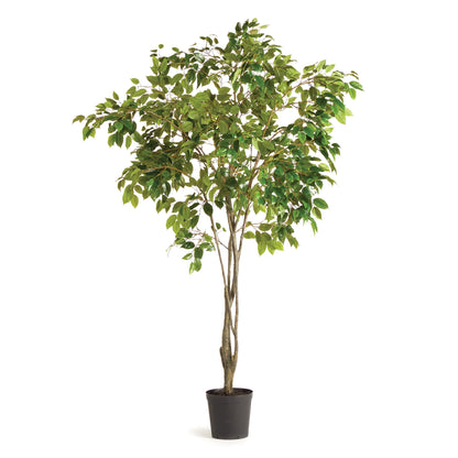 Grand Ficus Tree Drop-In 8'