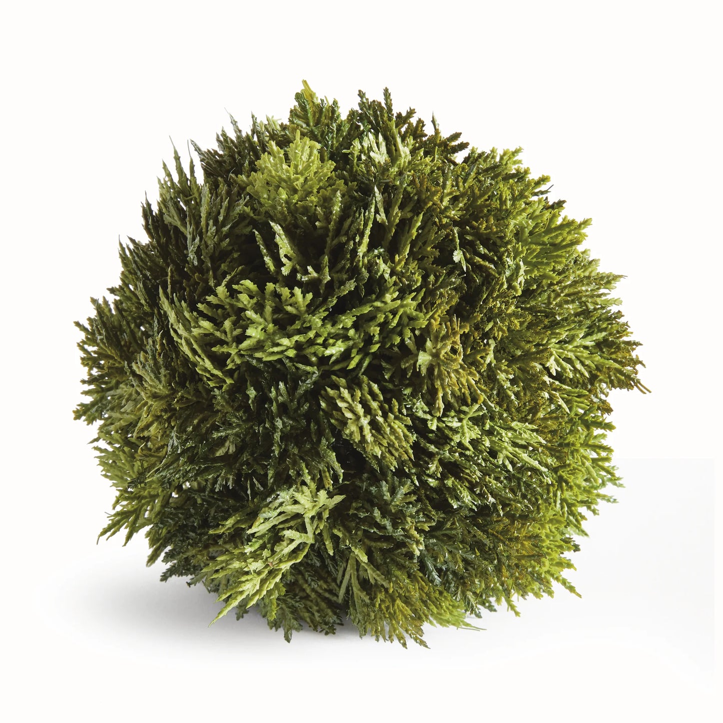 Cypress Orb