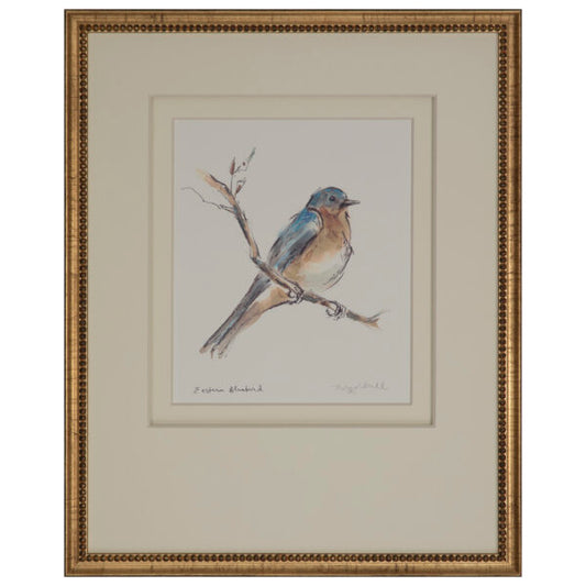 Eastern Bluebird