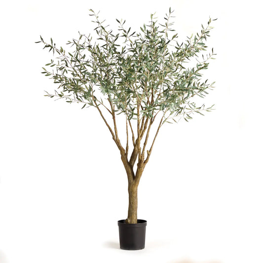Grand Olive Tree Drop-In 6'6"