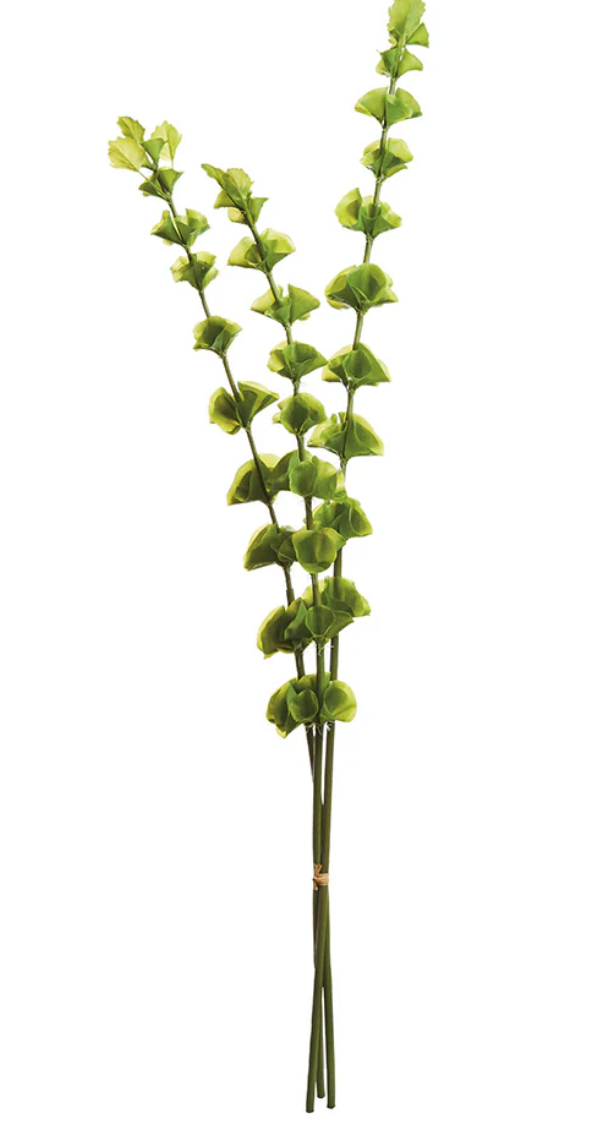 Bells of Ireland 46" Bundle