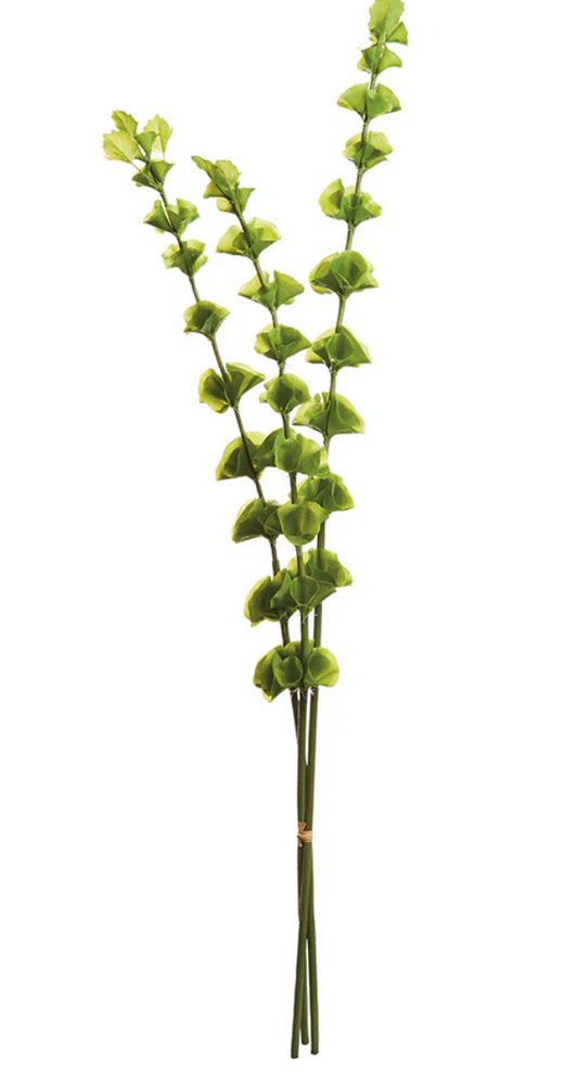 Bells of Ireland 46" Bundle