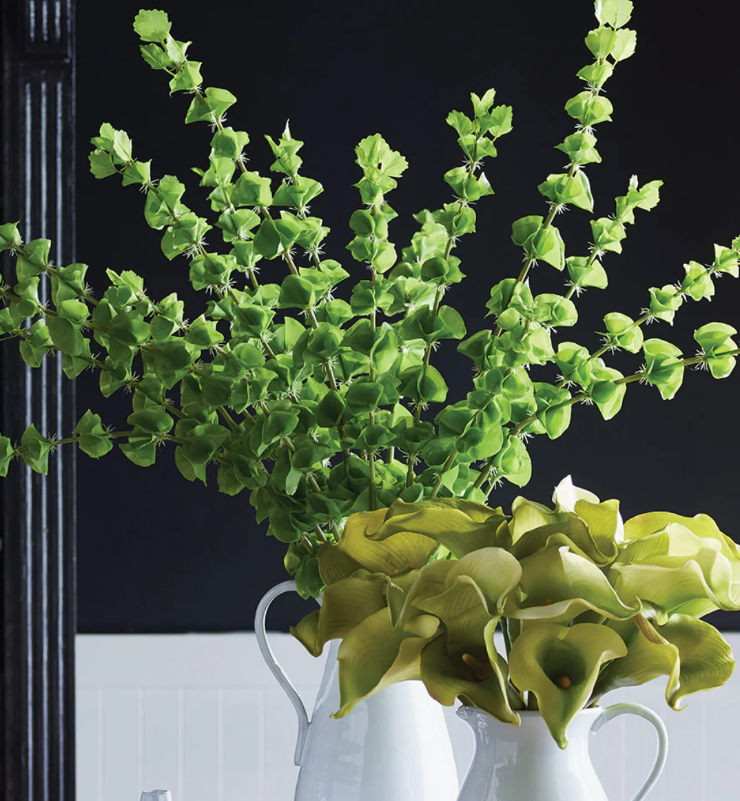 Bells of Ireland 46" Bundle