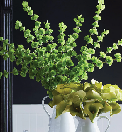 Bells of Ireland 46" Bundle