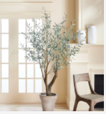 Grand Olive Tree Drop-In 6'6"