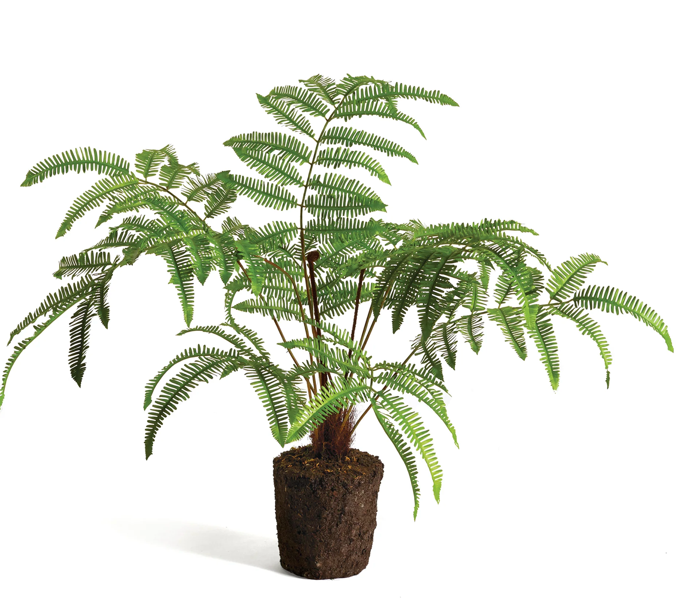 Forest Fern Drop-In 29.5"