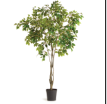 Grand Ficus Tree Drop-In 8'