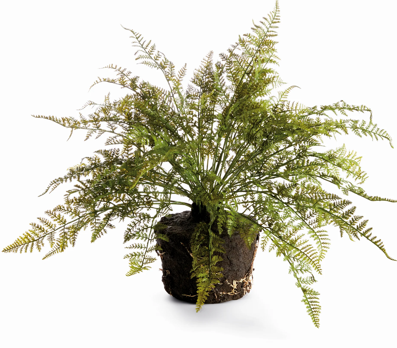 Soft Fern Drop-in 18.5"