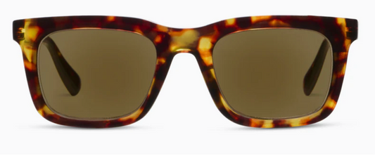 Airplane Mode Polarized Sun-Tortoise